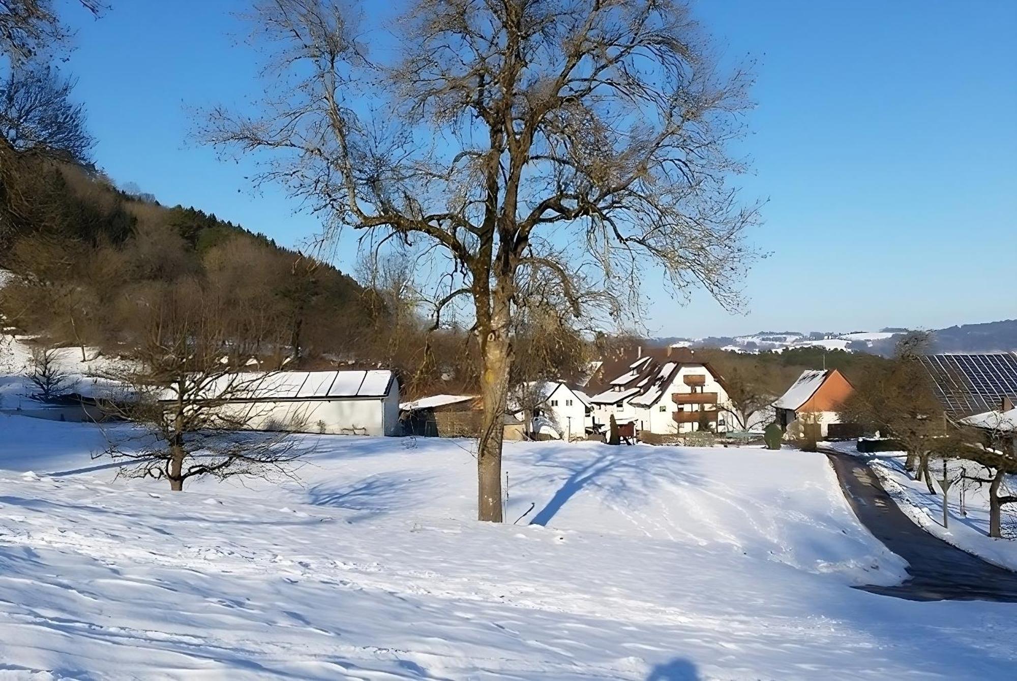 Mayer Burghoefe Owingen エクステリア 写真
